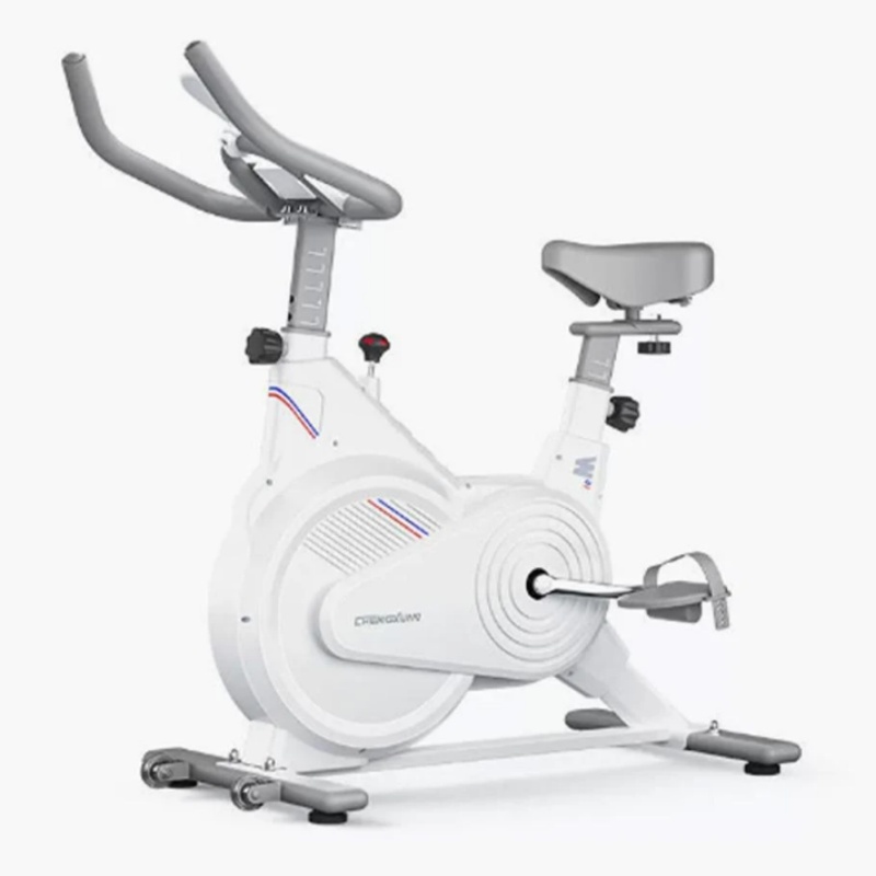 Exercise Bike Magnetic Resistance - 室内固定式スピンバイク、静音磁気抵抗エクササイズバイク（LCDモニター付き）、ホームジム有酸素運動器具