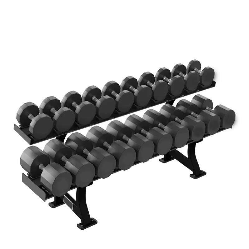 Fitness Equipment - 2段式10ペアダンベル収納ラック、筋力トレーニングジム機器、頑丈なスチール製、安定性と耐久性に優れた構造