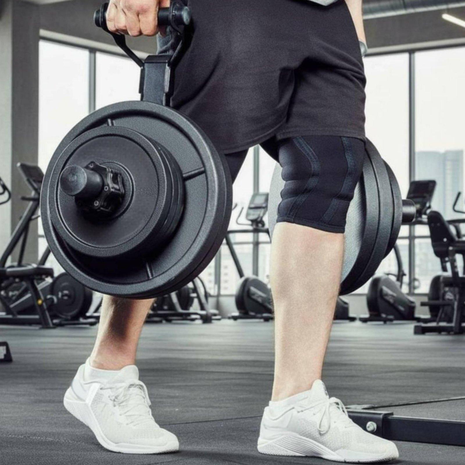 多サイズ対応バーベルプレートホルダーオーガナイザーラック、家 - Fitness Equipment のレビューと価格