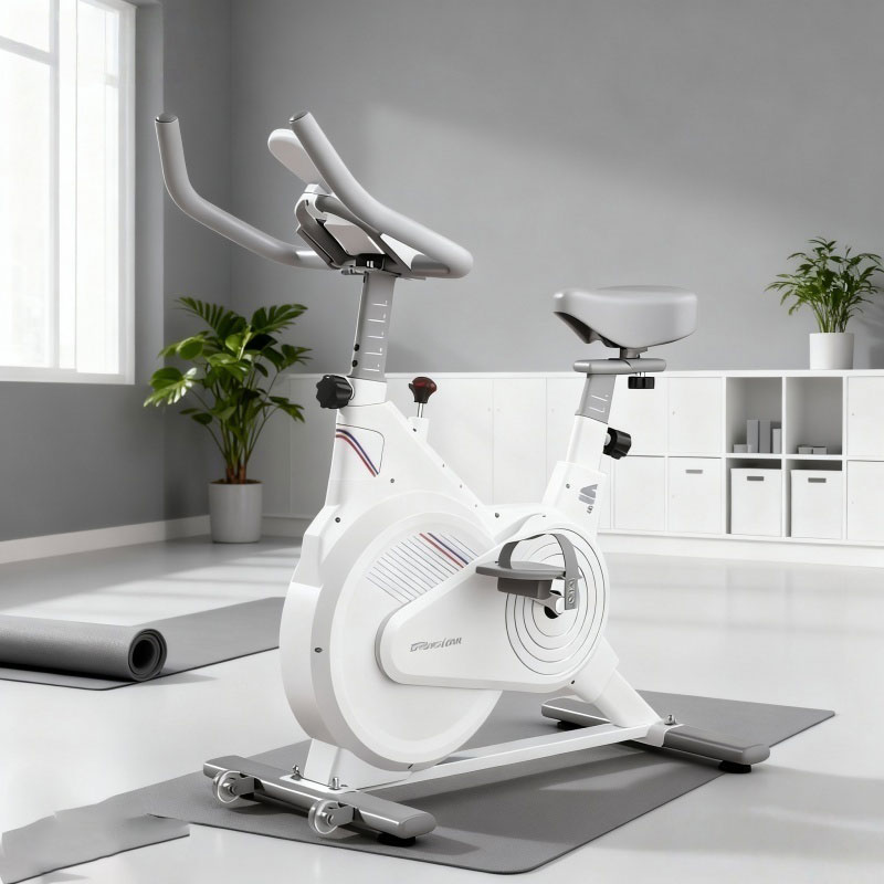 室内固定式スピンバイク、静音磁気抵抗エクササイズバイク（LC - Exercise Bike Magnetic Resistance のレビューと価格